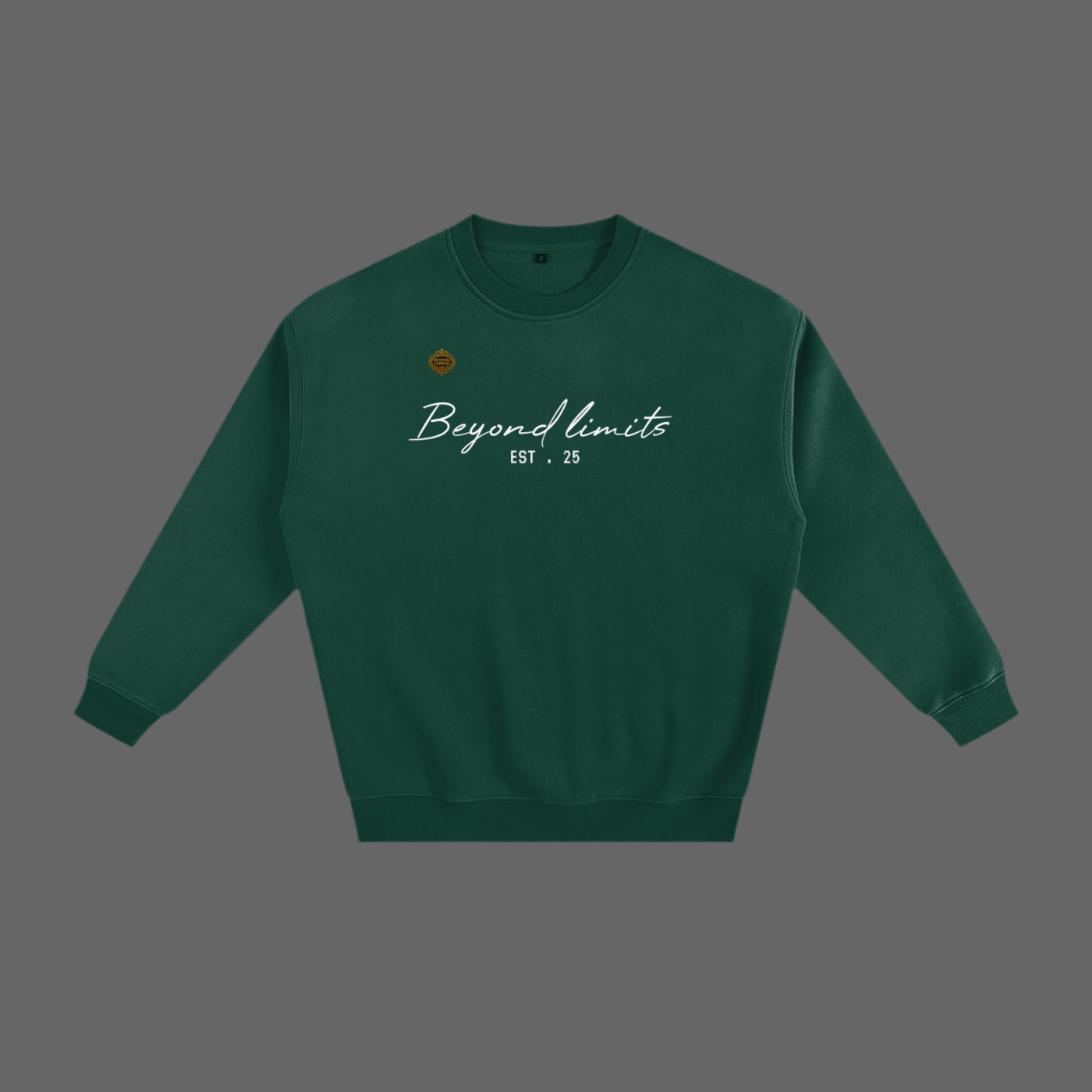 Fleeced Sweatshirt
